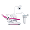 ChuangQi CQ-219 (2025) Floor-type Dental Treatment Chair Unit